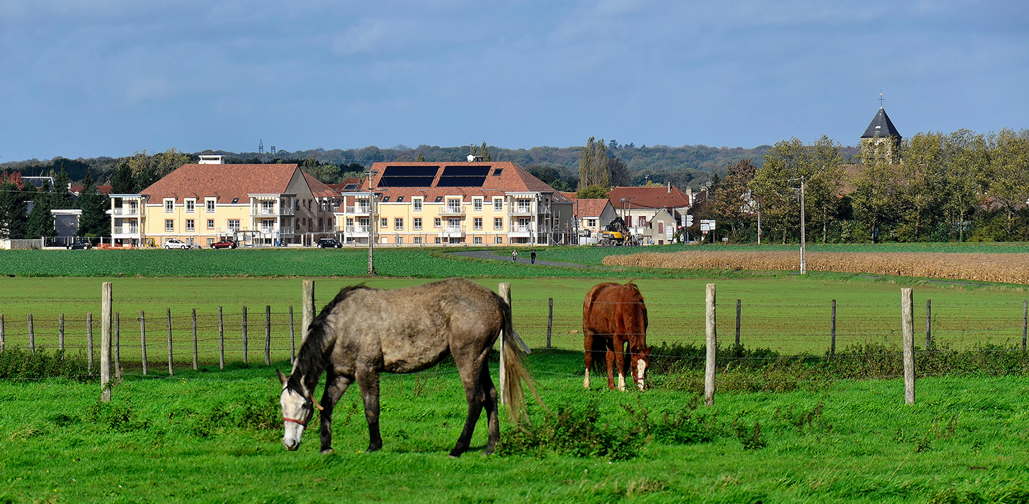 Saclay Domaine Rigoles