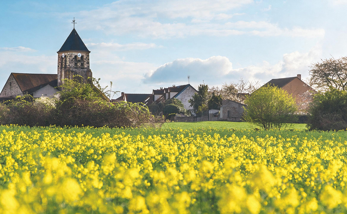 Saclay Domaine Rigoles